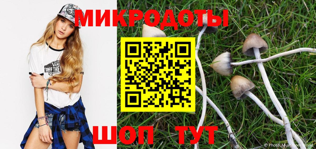 Псилоцибиновые грибы ЛСД Оренбург